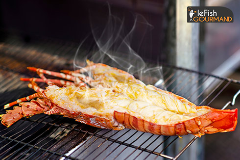 Langouste géante grillée au four accompagnée d'une mayonnaise au safran 
